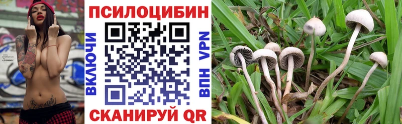 Купить закладки  Алупка  Псилоцибиновые грибы GOLDEN TEACHER 